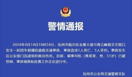 江西本地人爆料新闻最新,真相令人震惊...